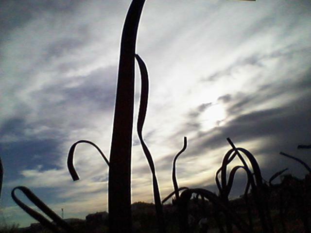 Del Somontano
