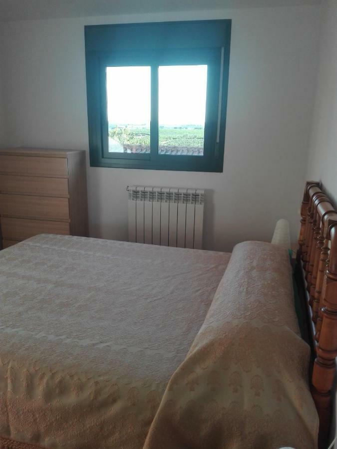 Del Somontano Apartment